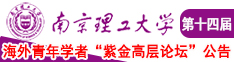 CHAINA操逼电影视频南京理工大学第十四届海外青年学者紫金论坛诚邀海内外英才！